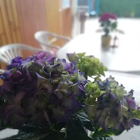 公寓 Nico Stadtilm